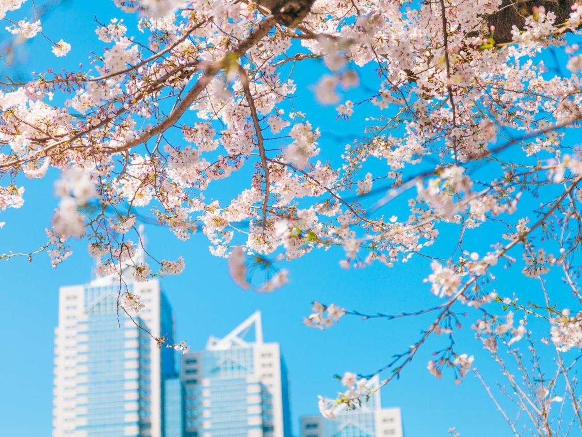 パーク ハイアット 東京 5*